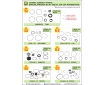 Cosmic Forklift Parts Special Project NO.41-VALVE ,O/H ,KIT,HYDROSTATIC & FRONT HUB SEAL KIT(1 Side)-page2